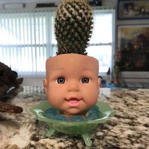 Meet your Posher, Dayna